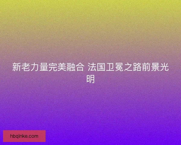 新老力量完美融合 法国卫冕之路前景光明