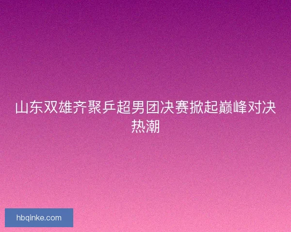 山东双雄齐聚乒超男团决赛掀起巅峰对决热潮